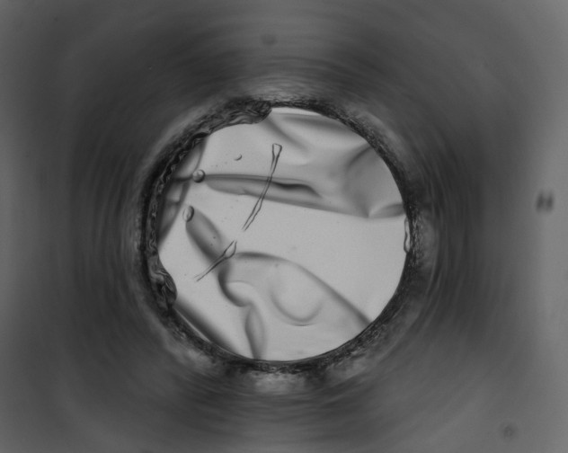 X0000100750400200807171416