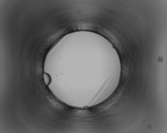 X0000100750401200807171416