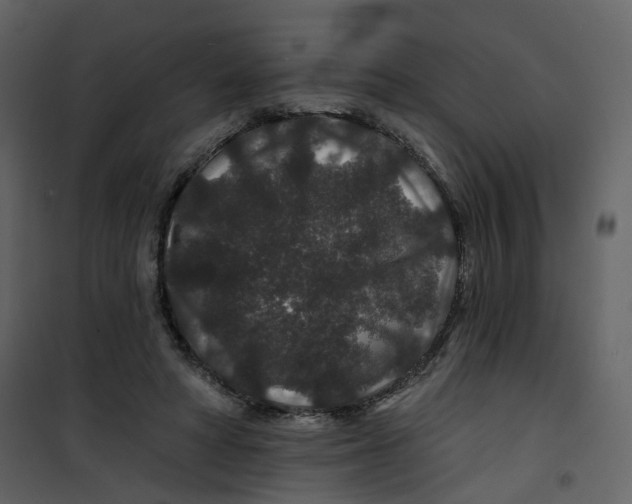 X0000100750402200807171416