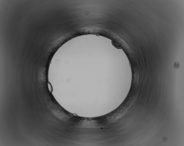 X0000100750403200807171416