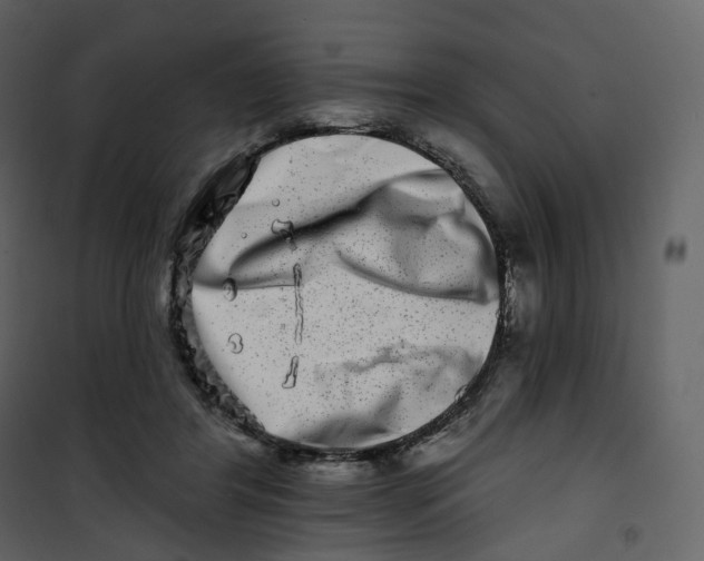 X0000100750404200807171416