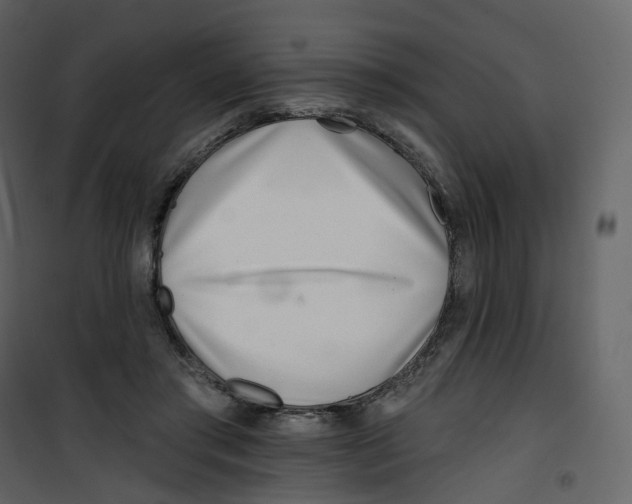 X0000100750405200807171416