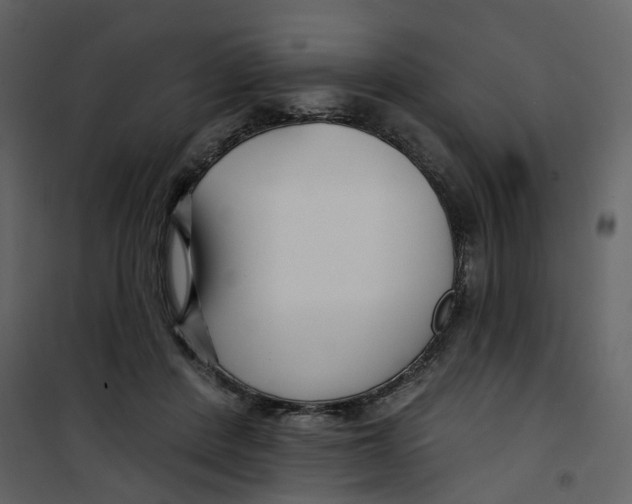 X0000100750408200807171416