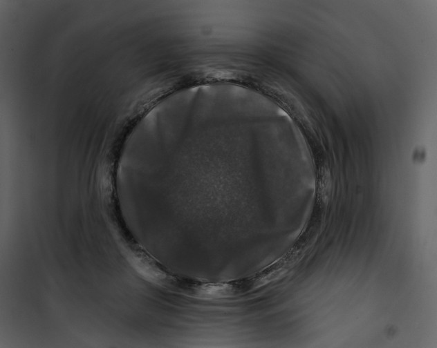 X0000100750410200807171416