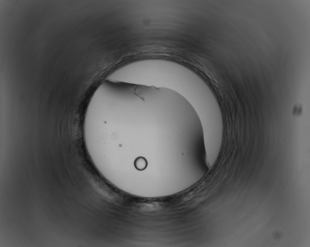 X0000100750411200807171416
