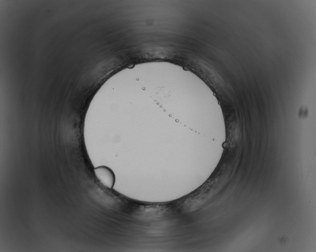 X0000100750414200807171416