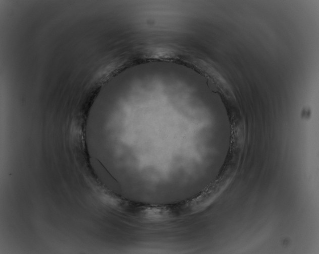 X0000100750415200807171416