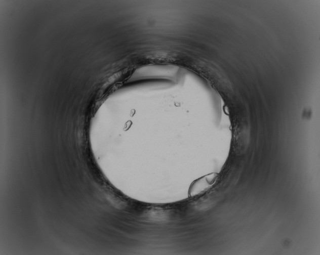 X0000100750416200807171416