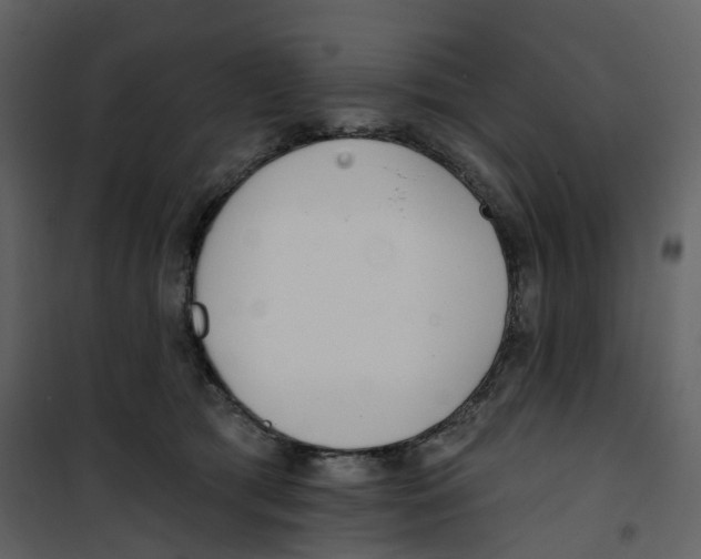 X0000100750417200807171416