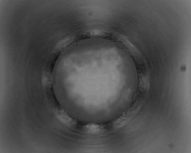 X0000100750419200807171416