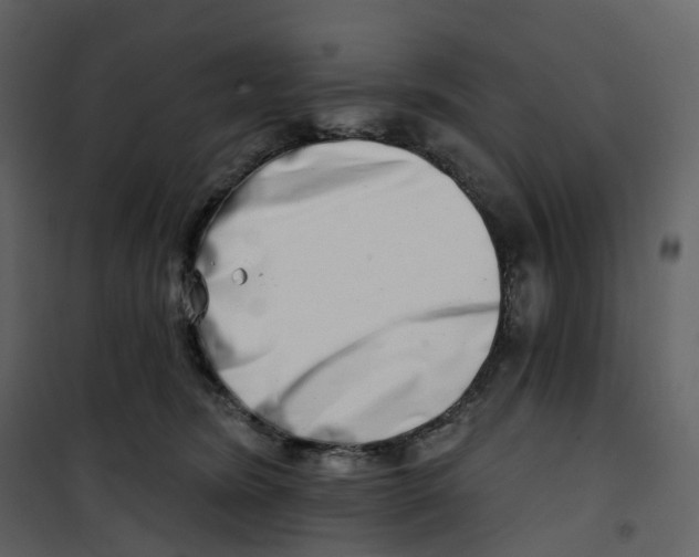 X0000100750420200807171416