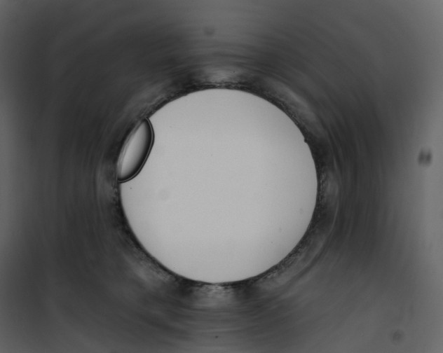 X0000100750421200807171416