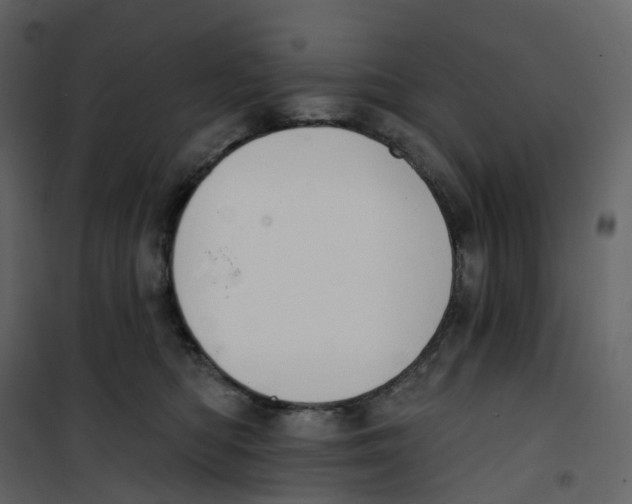 X0000100750422200807171416