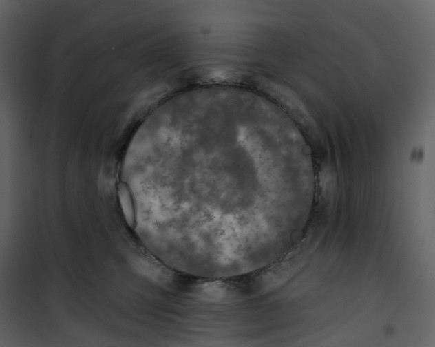 X0000100750423200807171416