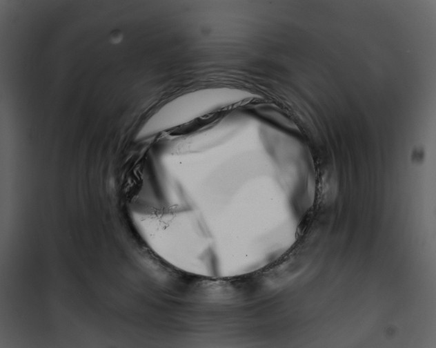 X0000100750424200807171416