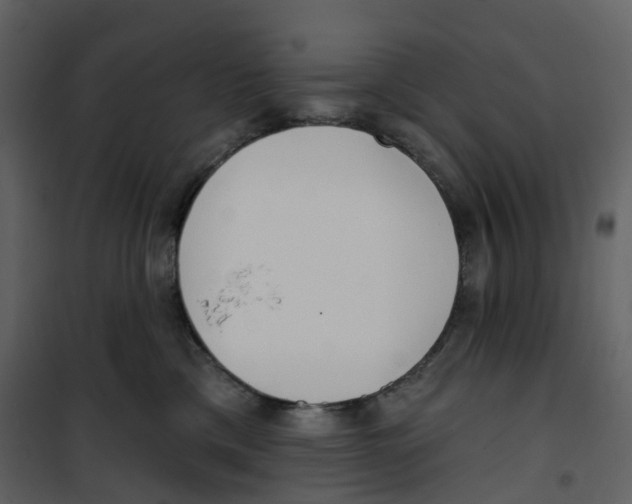 X0000100750425200807171416