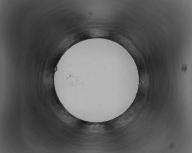 X0000100750426200807171416