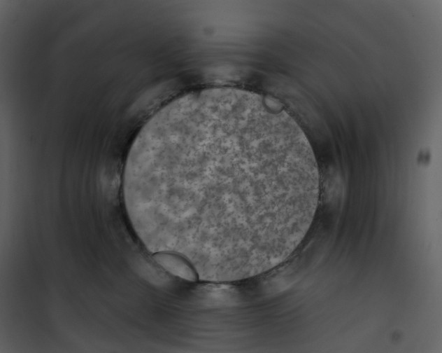 X0000100750427200807171416