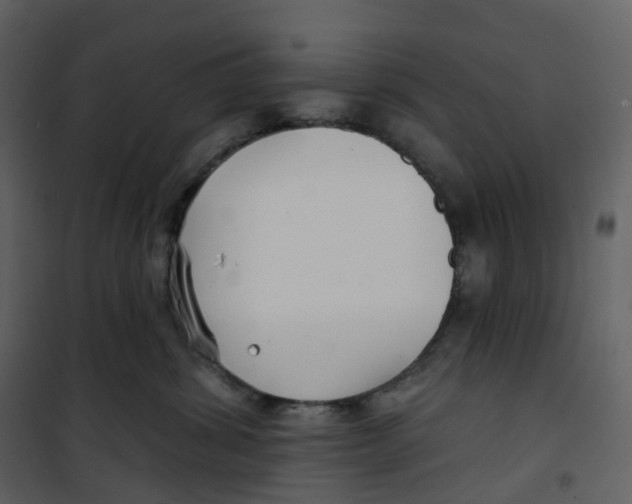 X0000100750428200807171416