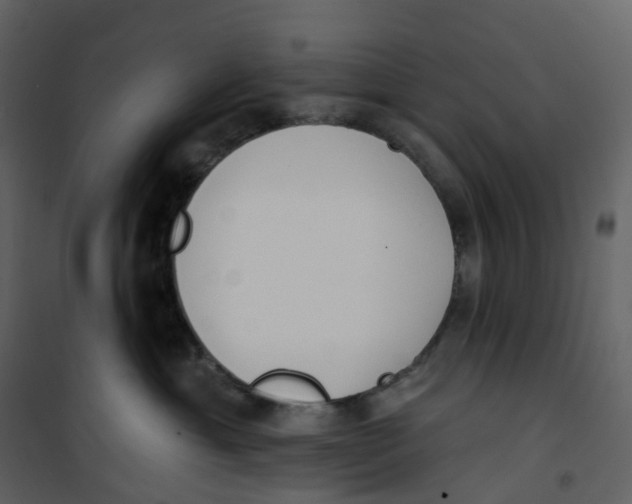 X0000100750429200807171416