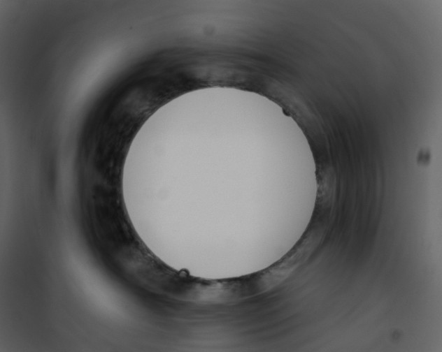 X0000100750430200807171416