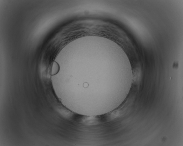 X0000100750431200807171416