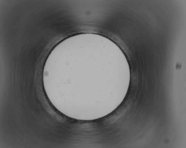 X0000100750433200807171415
