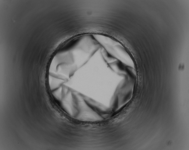 X0000100750434200807171415