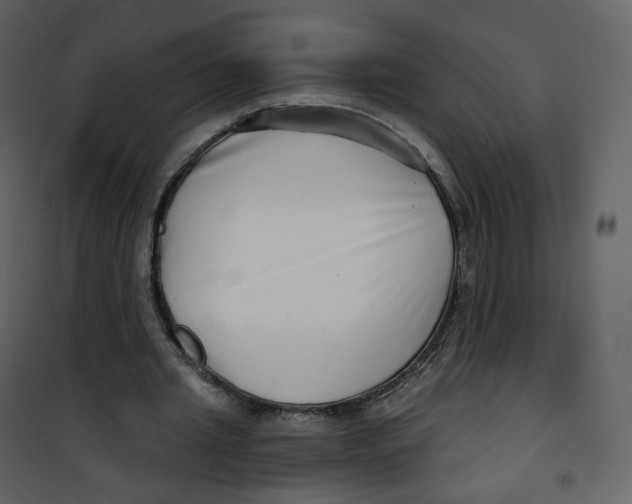 X0000100750437200807171415