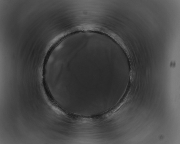 X0000100750438200807171415
