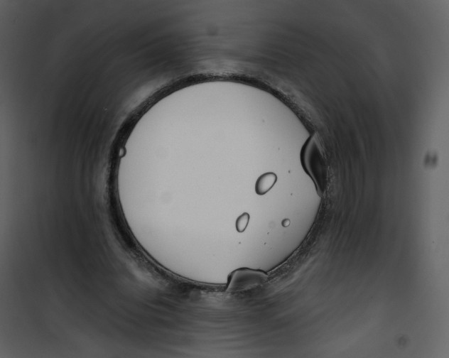 X0000100750440200807171415