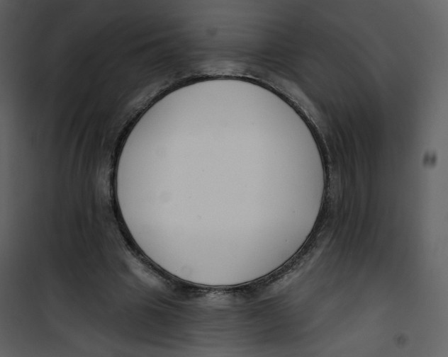 X0000100750441200807171415