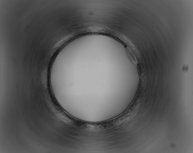 X0000100750442200807171415