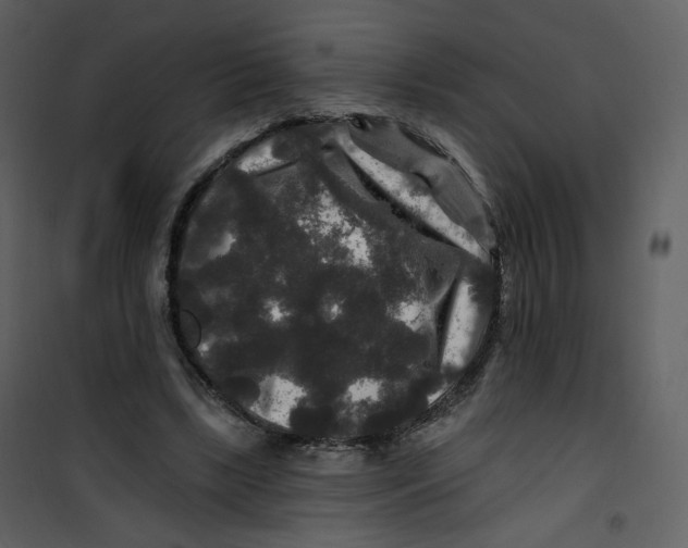 X0000100750443200807171415