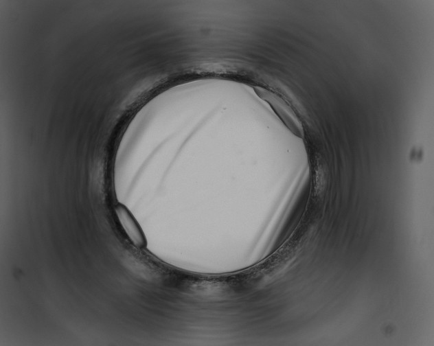 X0000100750444200807171415