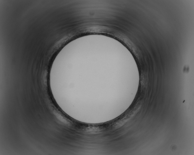X0000100750445200807171415