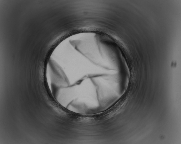 X0000100750446200807171415