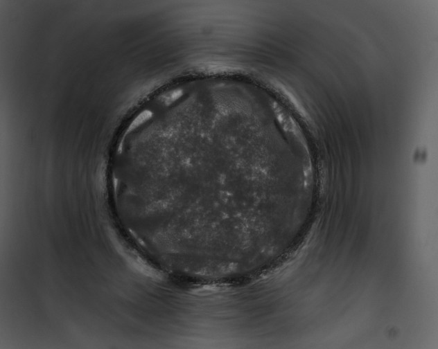 X0000100750447200807171415