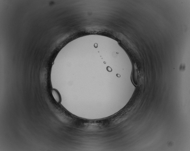 X0000100750448200807171415