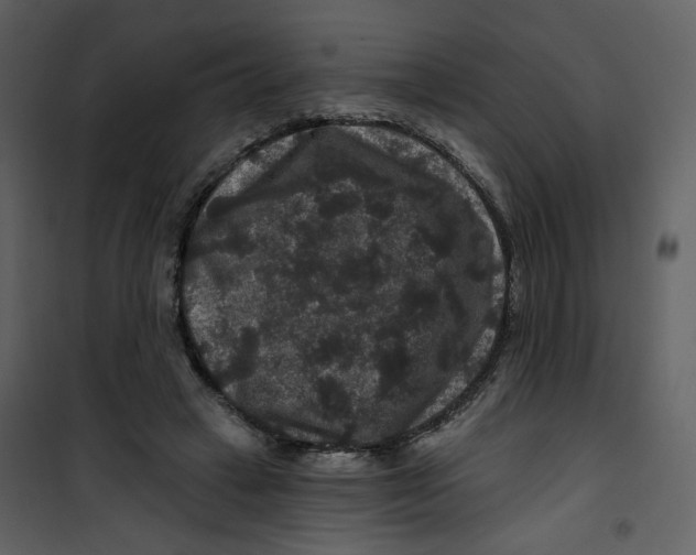 X0000100750449200807171415