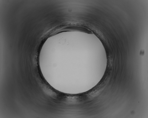 X0000100750450200807171415
