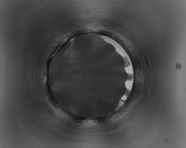 X0000100750451200807171415