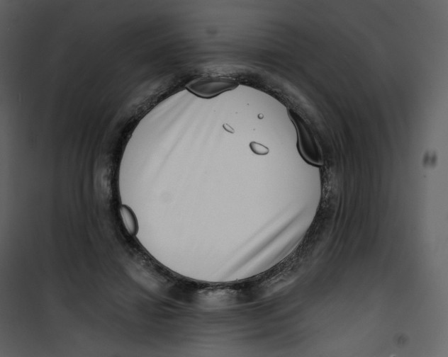 X0000100750452200807171415