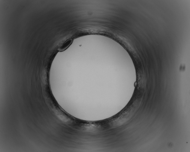 X0000100750453200807171415