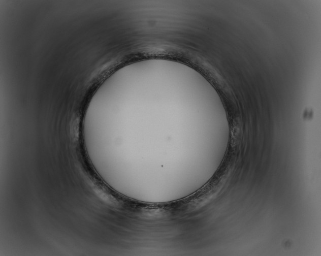 X0000100750454200807171416