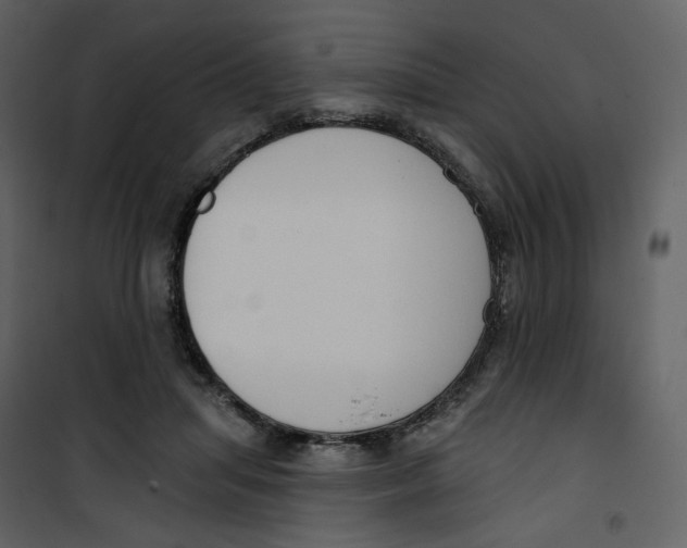 X0000100750455200807171416