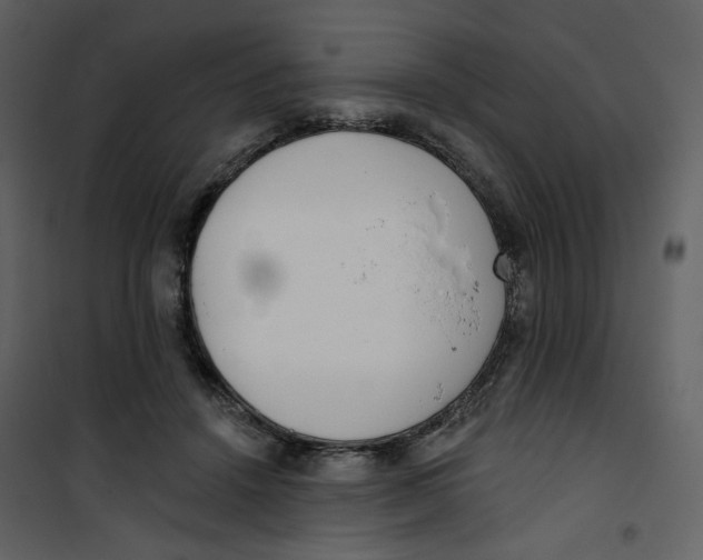 X0000100750456200807171416