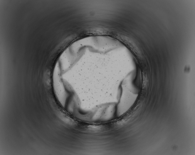 X0000100750457200807171416