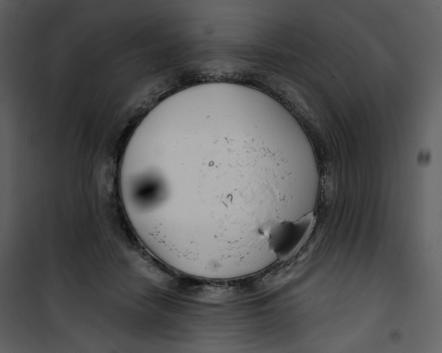 X0000100750458200807171416