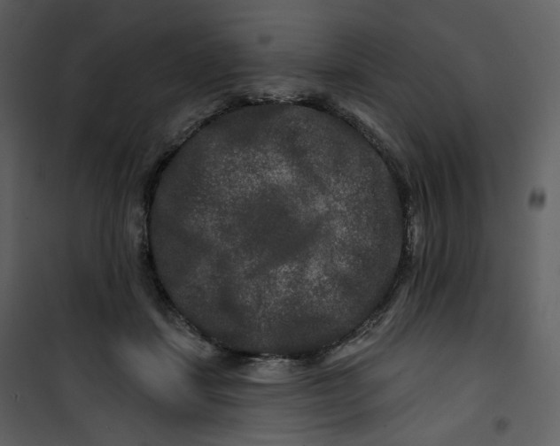 X0000100750459200807171416